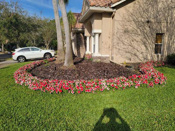 Flower bed with red and white impatiens around a palm tree