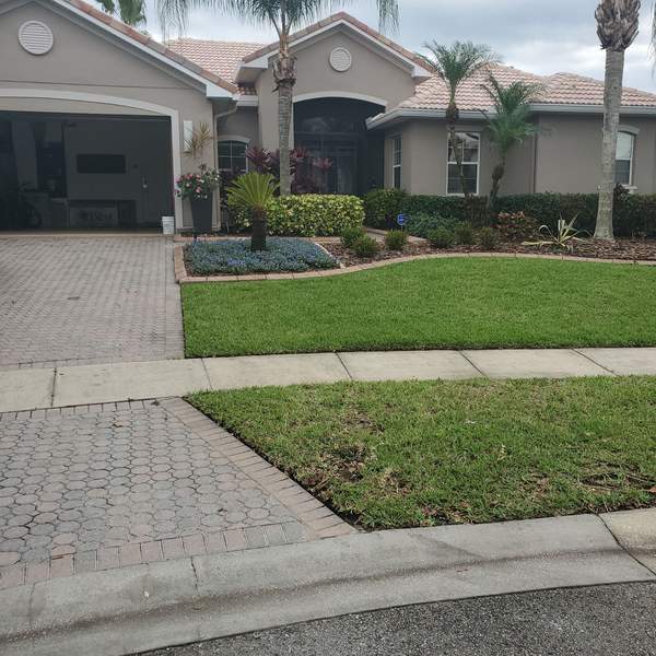 Lush green, freshly mowed lawn in front of a house