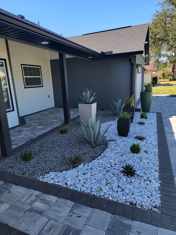 Modern landscape bed with agave and white rock